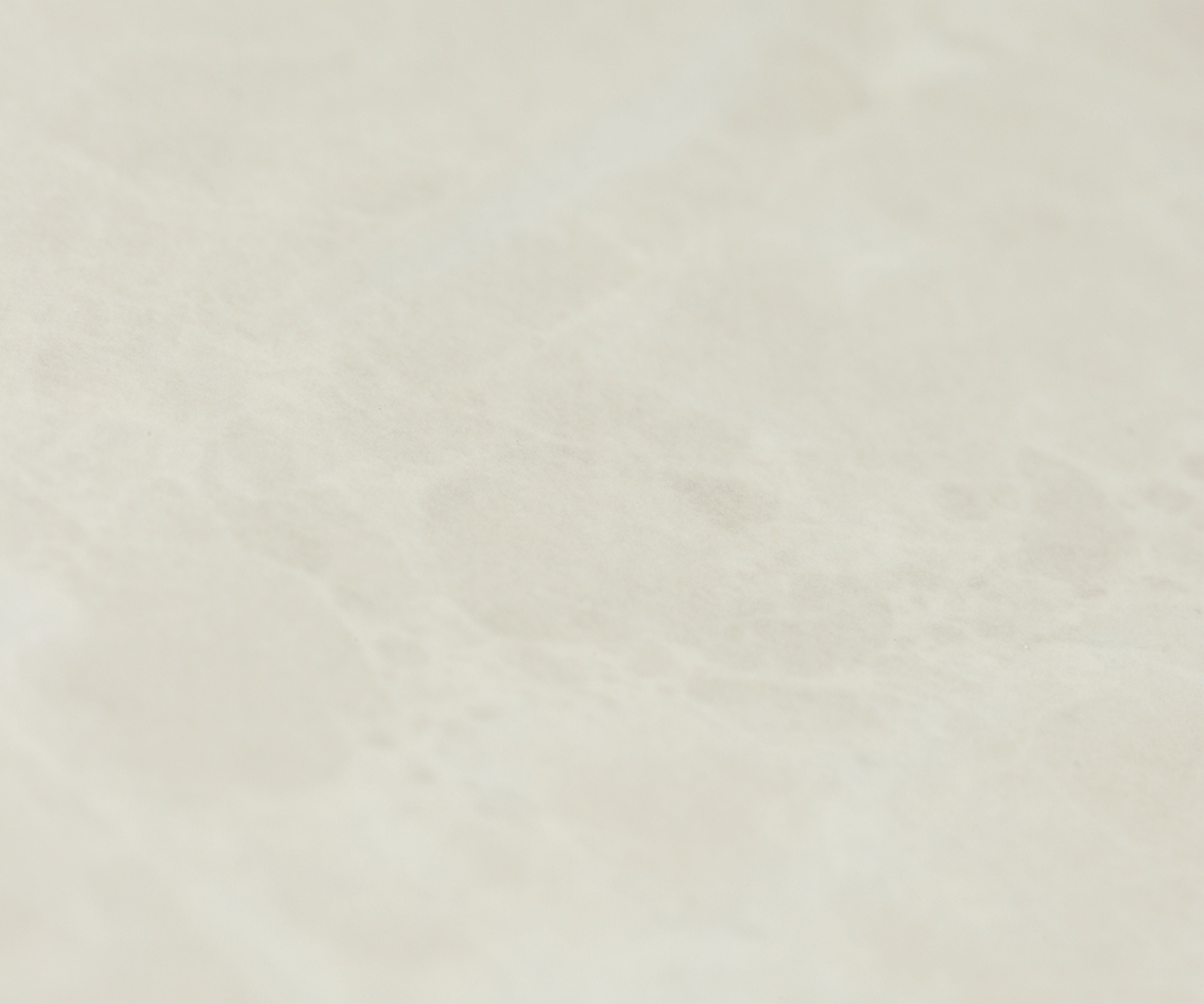 メグ dショッピング |33655-373-L フォックス FOX MTB ヘルメット スピード