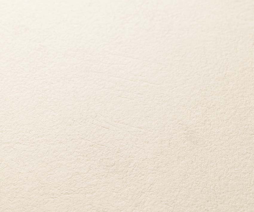 ビワです！！ VBWX-3651AS8│イビケン株式会社 建装事業部